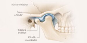fatiga mandibular